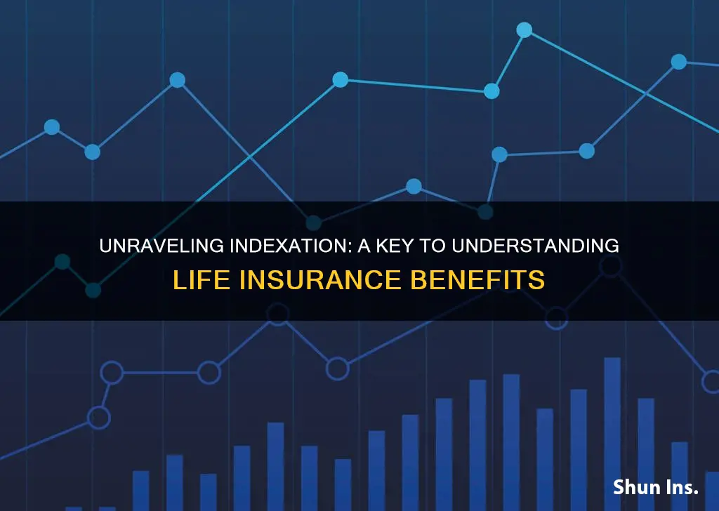 what is indexation in life insurance