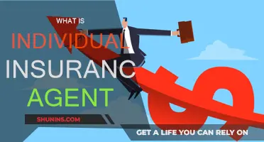 Insurance Agents: Your Personal Policy Partners