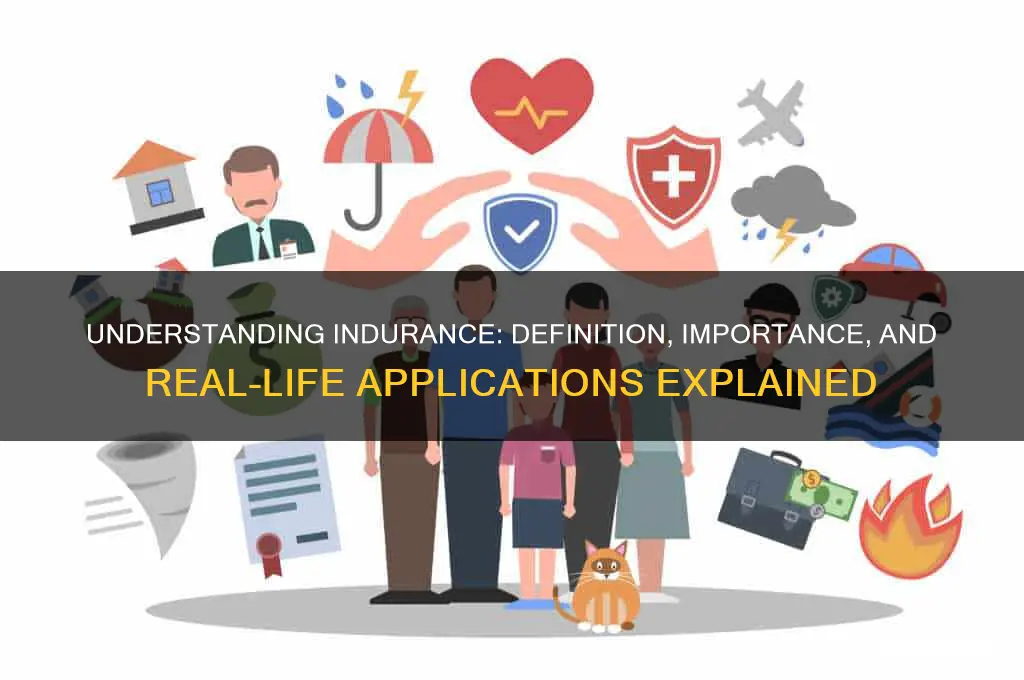 what is indurance