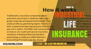 Understanding Industrial Life Insurance: A Comprehensive Guide