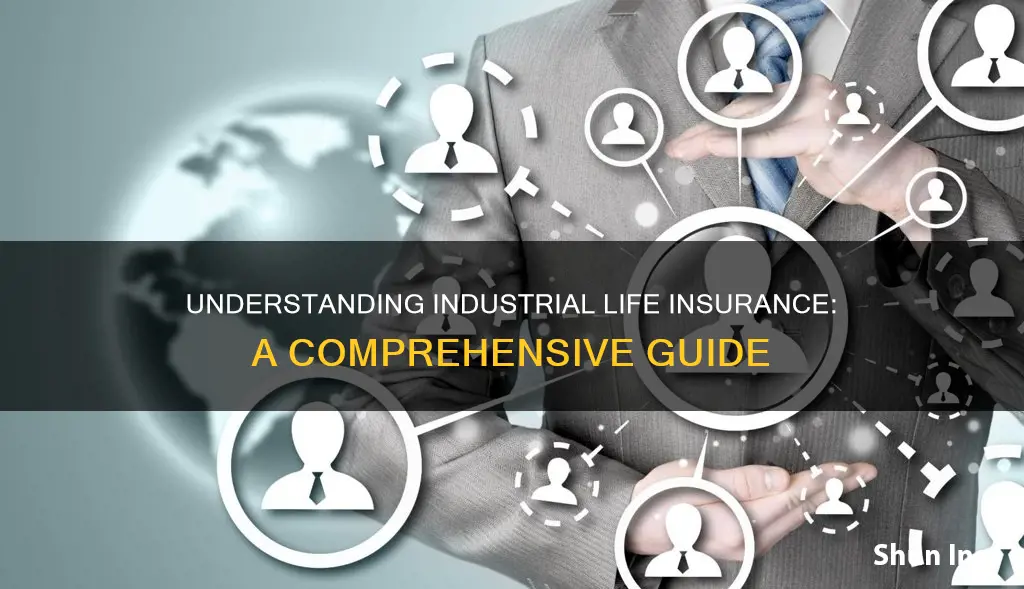 what is industrial life insurance