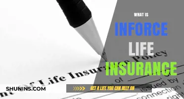 Understanding Inforce Life Insurance: A Comprehensive Guide