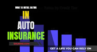 Auto Insurance: Understanding Initial Rating and Its Impact