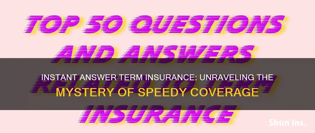 what is instant answer term insurance