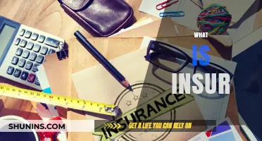 Understanding Insur: A Comprehensive Guide to Its Basics and Benefits