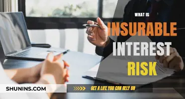 Understanding Insurable Interest: Managing Risk and Ensuring Peace