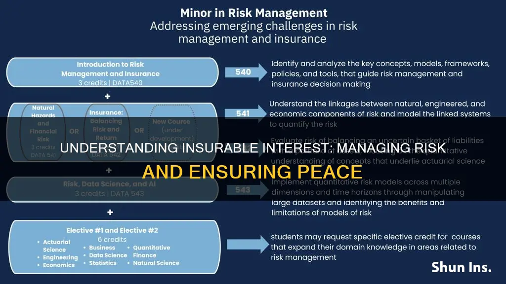 what is insurable interest risk