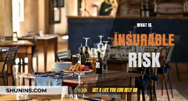 Understanding Insurable Risks: What's Covered?