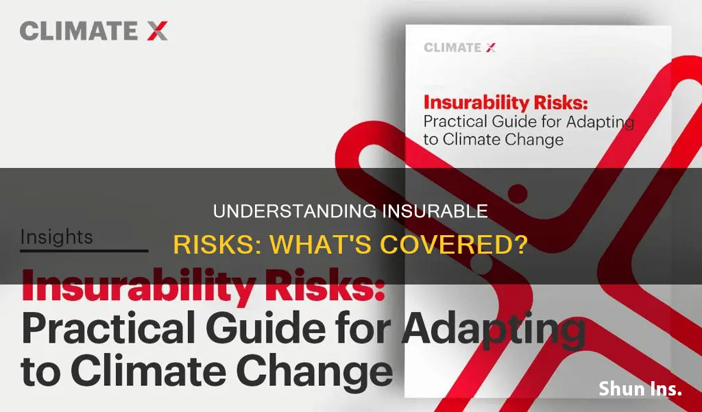 what is insurable risk
