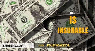 Understanding Insurable Risks: What Qualifies for Coverage and Why
