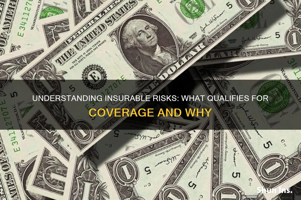 what is insurable