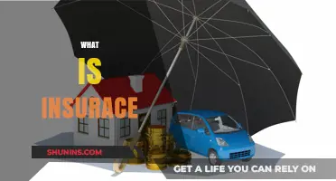 Understanding Insurance: Protecting Your Assets