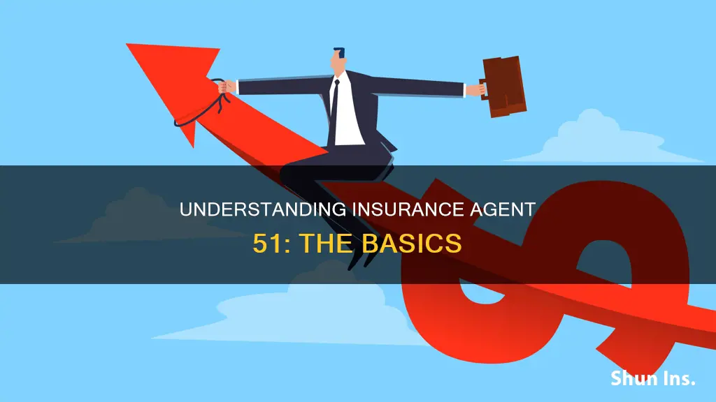what is insurance agent 51
