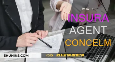 Understanding Insurance Agent Concealment and Its Implications