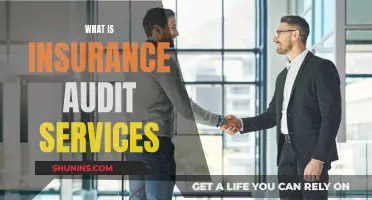 Uncover the Secrets: Understanding Insurance Audit Services