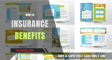 Understanding Insurance Benefits: A Comprehensive Guide to Coverage and Perks