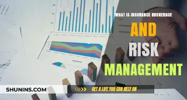 Understanding Insurance Brokerage and Risk Management
