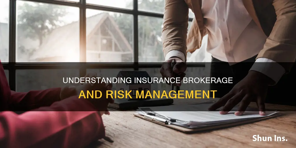 what is insurance brokerage and risk management