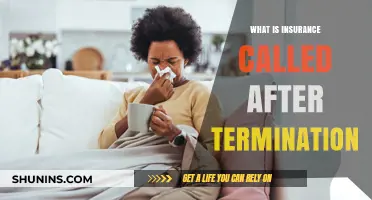 Post-Termination Insurance: What's Next?