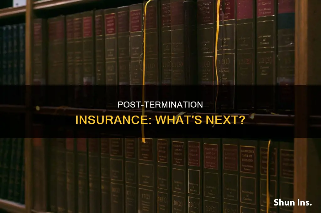 what is insurance called after termination