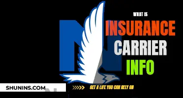 Insurance Carrier Info: What You Need to Know