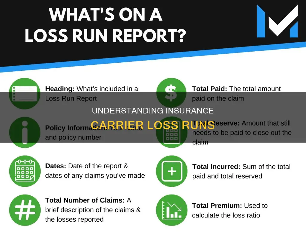 what is insurance carrier loss run