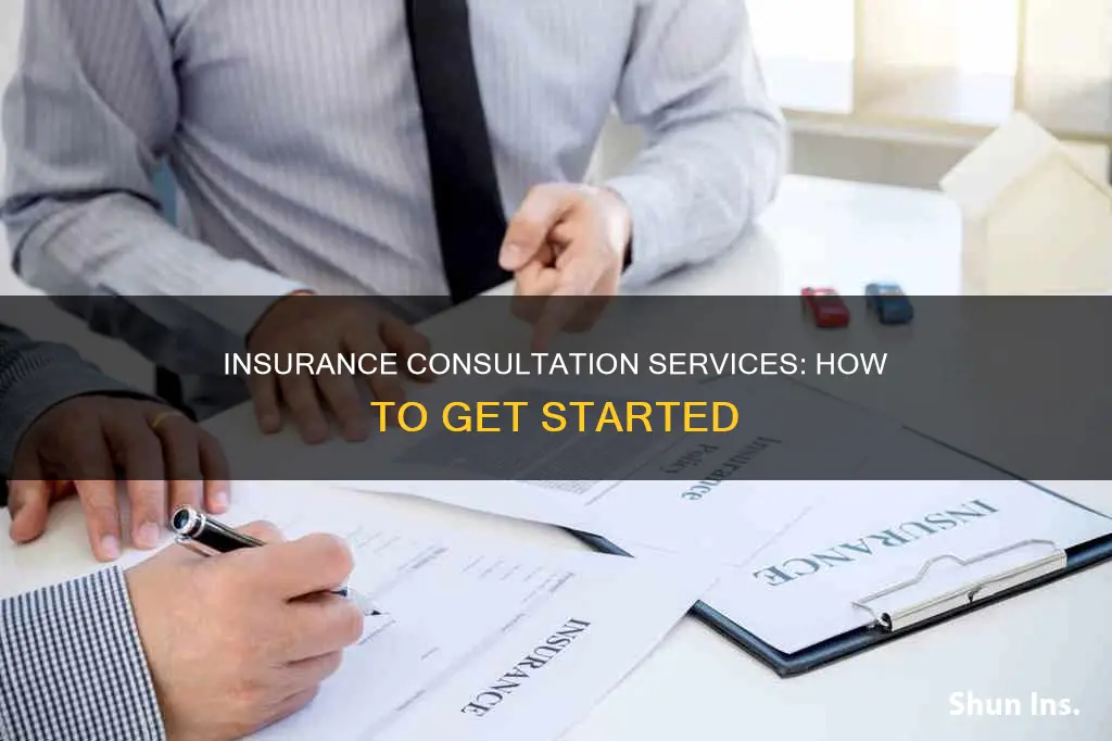 what is insurance consultation services