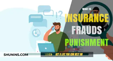 Understanding Insurance Fraud: Legal Consequences and Punishments Explained