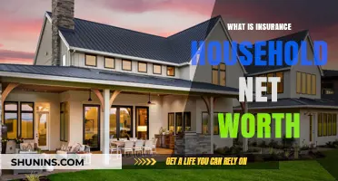 Understanding Insurance: Your Household's Net Worth