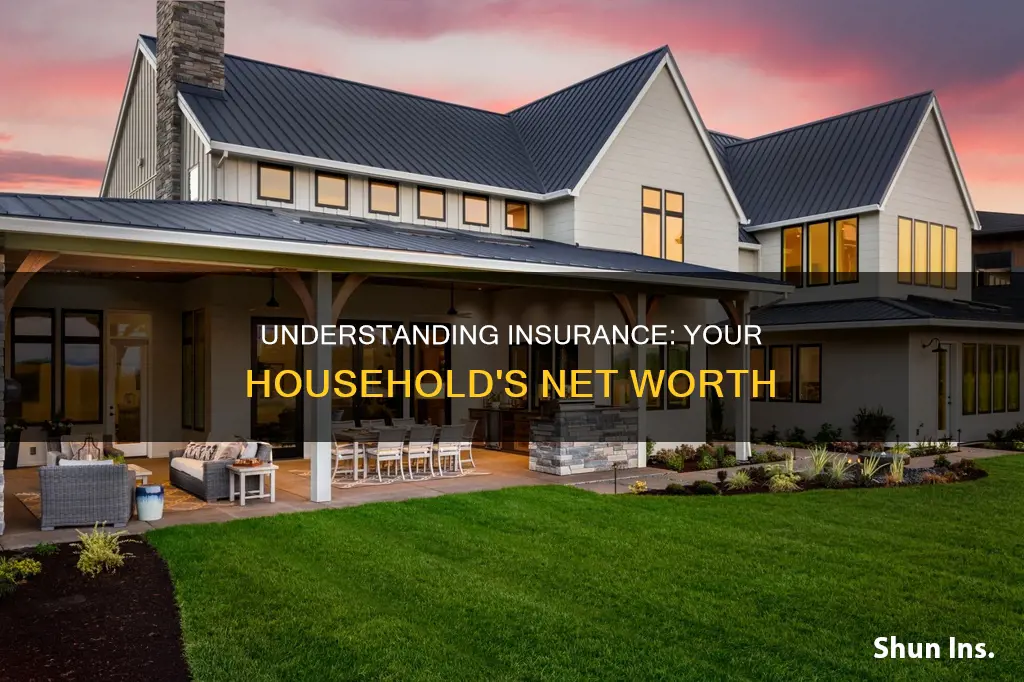 what is insurance household net worth