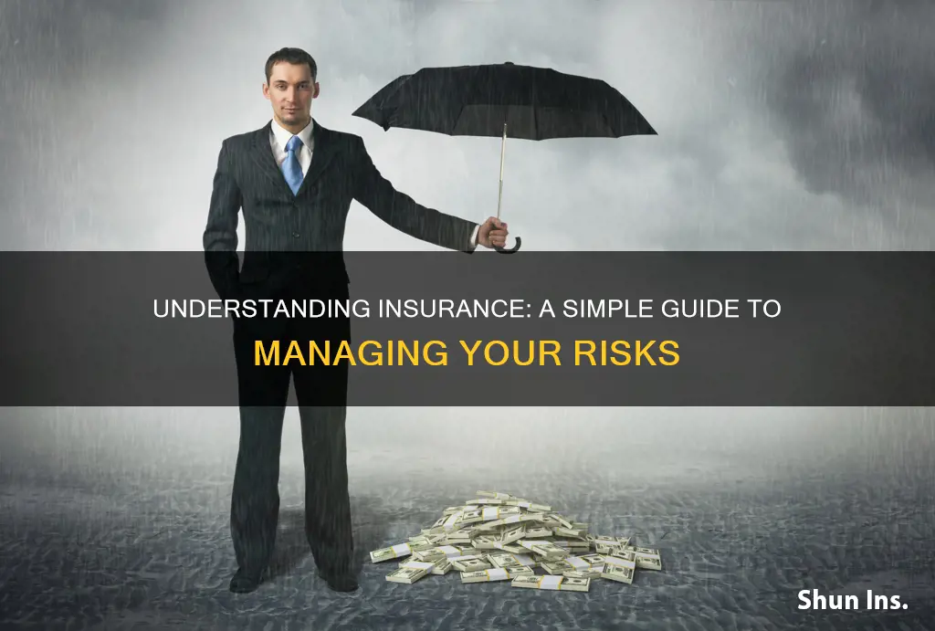 what is insurance in simple terms