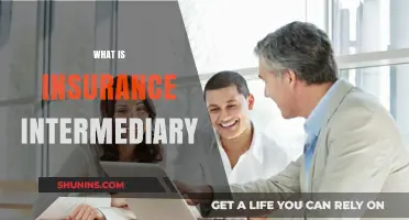 Understanding the Role of an Insurance Intermediary: A Comprehensive Guide