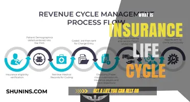 Understanding the Insurance Lifecycle: From Application to Claims