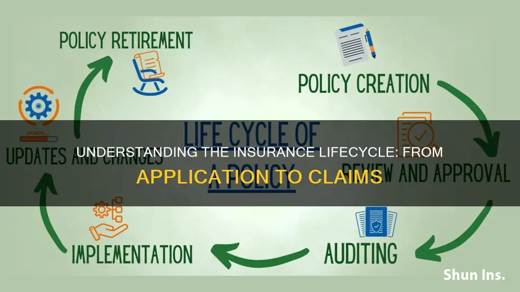 what is insurance life cycle