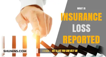 Understanding Insurance Loss Reports