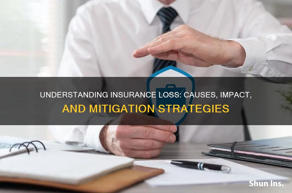 what is insurance loss