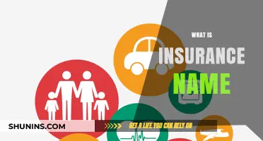 Understanding Insurance: What's in a Name?