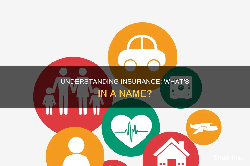 what is insurance name