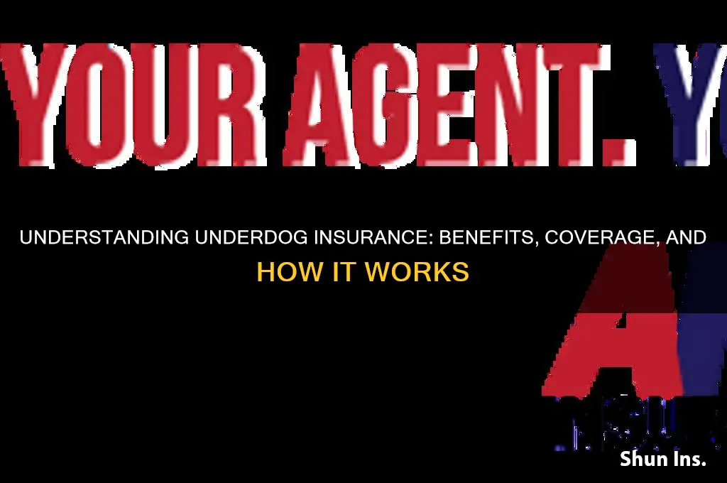 what is insurance on underdog