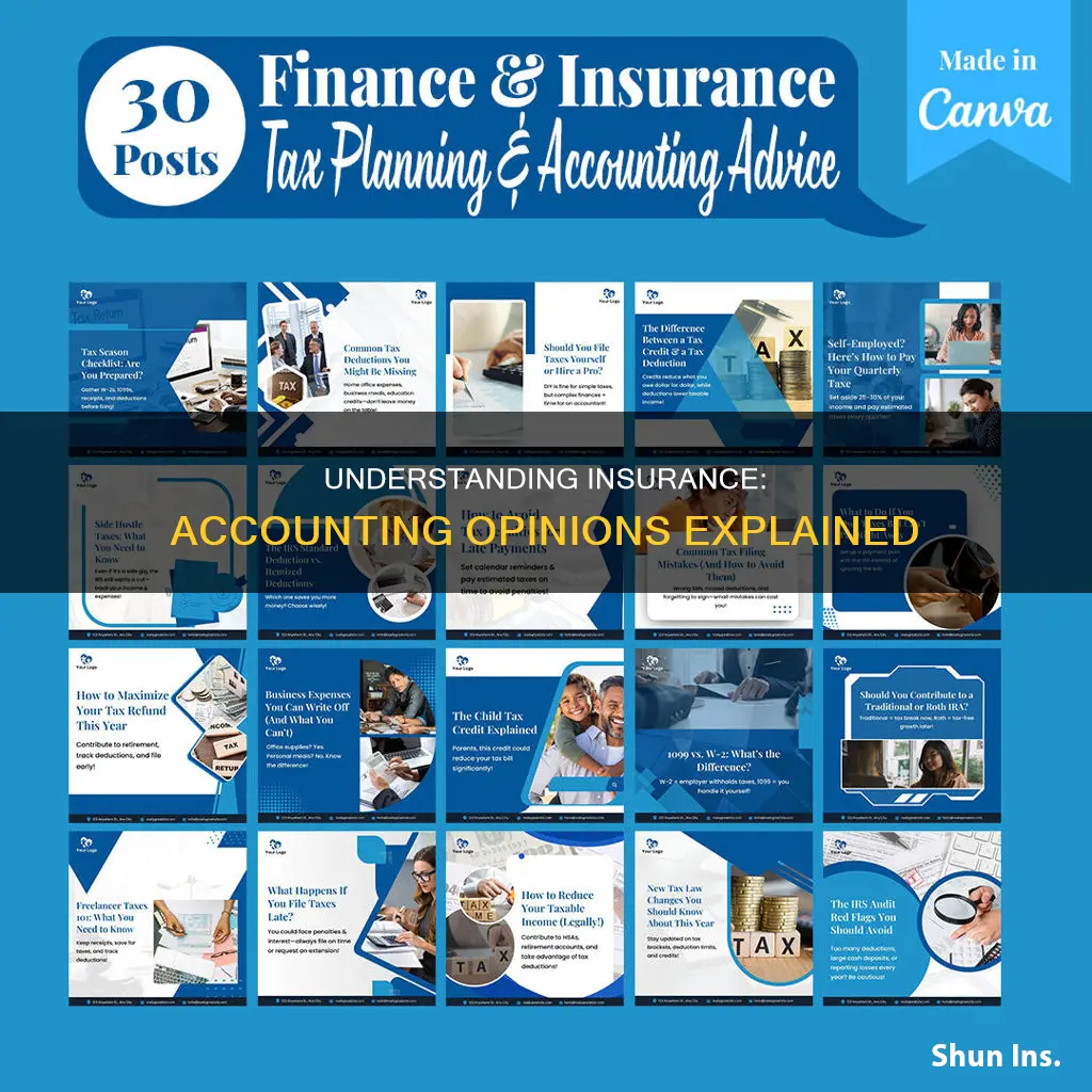 what is insurance opinion in accounting