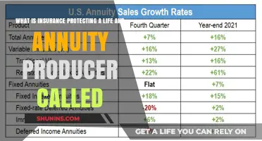 Life Insurance Producer: Protecting Your Future with Annuities