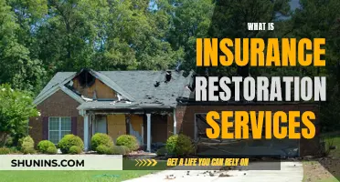 Unraveling the Mystery: What Insurance Restoration Services Really Mean