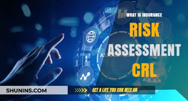 Understanding Insurance Risk Assessment: CRL Explained