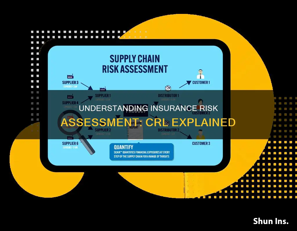 what is insurance risk assessment crl