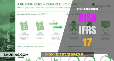 Understanding IFRS 17: Insurance Risk and Its Implications
