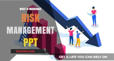 Understanding Insurance Risk Management: A Comprehensive Guide