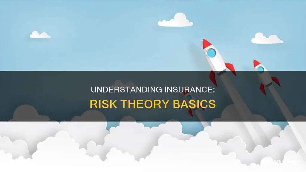 what is insurance risk theory