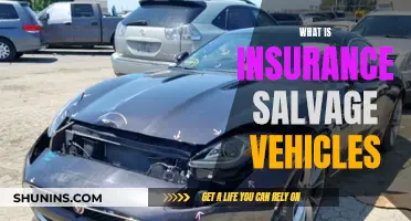 Insurance Salvage Vehicles: What's the Deal?