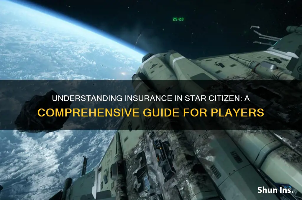 what is insurance star citizen