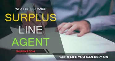 Understanding Surplus Line Insurance Agents